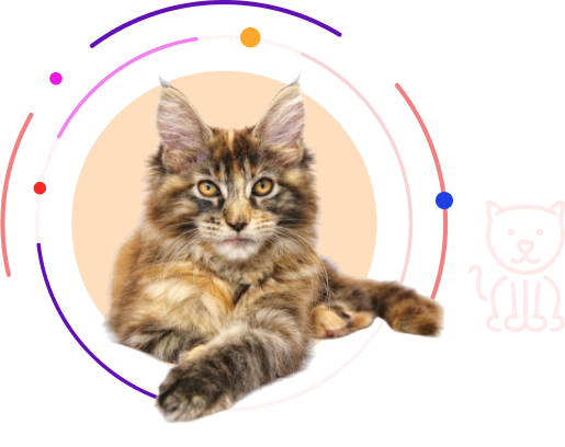 pet-images-1